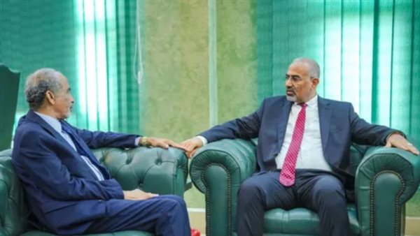 متابعة مستمرة ورؤية استراتيجية متكاملة