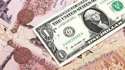 سعر الدولار مقابل الجنيه المصري اليوم الأحد 20 يوليو 2025 في البنوك المصرية