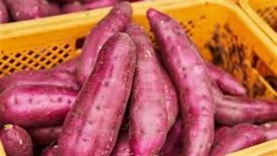 فوائد البطاطا الحلوة.. كنز صحي على موائدنا
