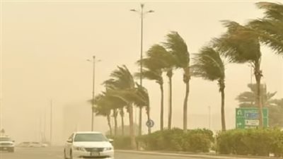 الطقس غدا.. شبورة كثيفة وأمطار على هذه المناطق والصغرى بالقاهرة 21 درجة