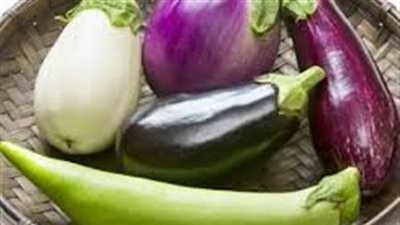الفرق بين الباذنجان الأبيض والبنفسجي