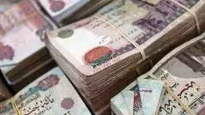 مرتبات شهر يوليو 2025.. ما الذي يظهر عند الاستعلام عن الراتب؟