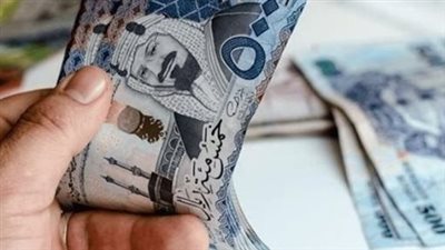 أسعار العملات الأجنبية اليوم في مصر.. الدولار والريال واليورو أمام الجنيه