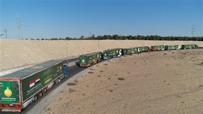 شيخ الأزهر يوجه بيت الزكاة والصدقات بإطلاق قافلة إغاثية عاجلة إلى قطاع غزة 