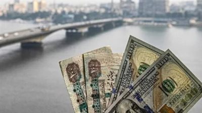 سعر الدولار مقابل الجنيه المصري - تفاصيل 29 يوليو 2025