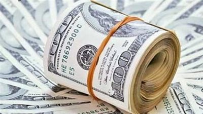 الدولار في السوق المصري: استقرار نسبي وأسعار البنوك الرسمية 29 يوليو 2025