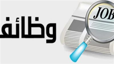 بوابة الوظائف الحكومية في مصر 2025: خطوات التسجيل والتقديم على الوظائف