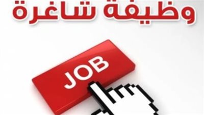 وظائف حكومية 2025 عبر بوابة الوظائف الحكومية.. رابط مباشر وتفاصيل كاملة
