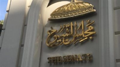 انتخابات مجلس الشيوخ 2025: خارطة الطريق والجدول الزمني