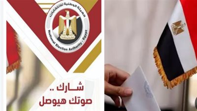كل ما تريد معرفته عن انتخابات مجلس الشيوخ 2025: المواعيد والإجراءات