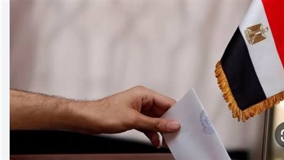 الهيئة الوطنية تعلن الجدول الزمني لانتخابات مجلس الشيوخ 2025