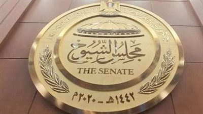 انتخابات الشيوخ 2025: مشاركة واسعة للمصريين في الخارج