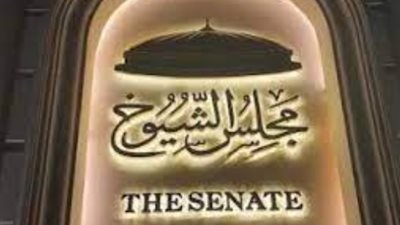 تفاصيل تصويت المصريين بالخارج في انتخابات مجلس الشيوخ 2025