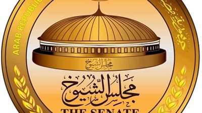 موعد انتخابات مجلس الشيوخ 2025 في الداخل والخارج رسميًا