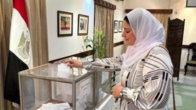 كيف تشارك في انتخابات مجلس الشيوخ 2025؟ خطوات التصويت وشروطه