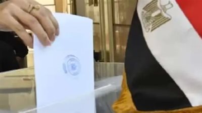 انتخابات الشيوخ 2025: دور المصريين في الخارج في صناعة القرار