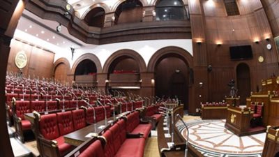 ما الجديد في انتخابات مجلس الشيوخ 2025؟ التنظيم، النزاهة، والمشاركة