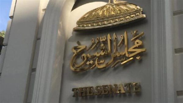 انتخابات مجلس الشيوخ 2025: خارطة الطريق والجدول الزمني