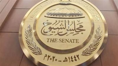 موعد انتخابات مجلس الشيوخ 2025 في الداخل والخارج: تعرف على الجدول الكامل