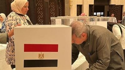 انتخابات مجلس الشيوخ 2025: مواعيد التصويت الرسمية وخدمات الاستعلام الإلكتروني