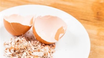 فوائد قشر البيض.. كنز صحي مهمل 