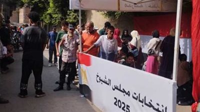 أهمية الاستعلام عن اللجان الانتخابية قبل موعد التصويت