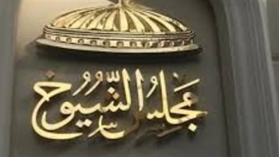 موعد إعلان نتائج انتخابات مجلس الشيوخ 2025 رسميًا وموعد جولة الإعادة