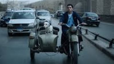 من السينما إلى المنصات.. 