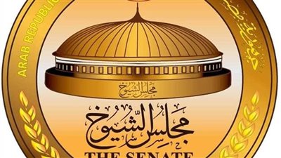 الهيئة الوطنية للانتخابات تعلن موعد مؤتمر إعلان نتيجة انتخابات مجلس الشيوخ 2025