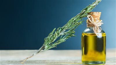 زيت إكليل الجبل لنمو الشعر.. تعرفي على فوائده