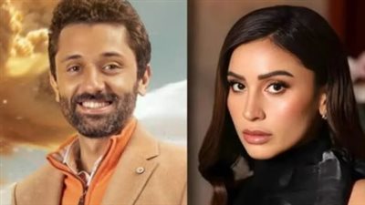 كريم محمود عبد العزيز ودينا الشربيني: ثاني تعاون سينمائي يحقق جماهيرية واسعة