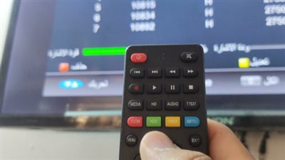 مشاهدة المباريات الحية عبر قناة يلا سبورت: تجربة رياضية متكاملة