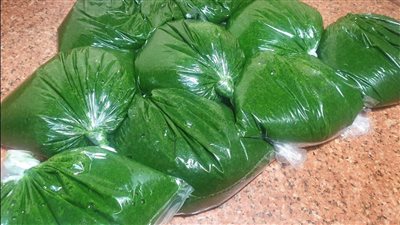 طريقة تخزين الملوخية الخضراء