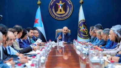 المستقبل بين التحدي والفرصة: الجنوب نحو اقتصاد مستقر