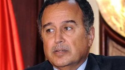 نبيل فهمي: السيرة الذاتية والمسيرة الدبلوماسية والسياسية