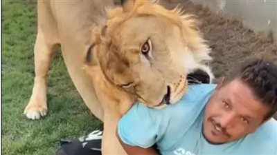 فيديو أسد في ليبيا يهاجم عاملًا مصريًا ويثير غضبًا واسعًا على مواقع التواصل