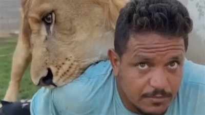 هجوم أسد على عامل مصري في مزرعة ليبية: القصة الكاملة وردود الفعل الغاضبة