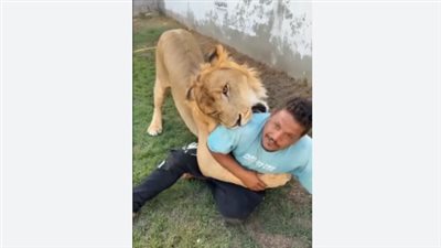 تربية الأسود في ليبيا تحت المجهر بعد فيديو مهاجمة عامل مصري