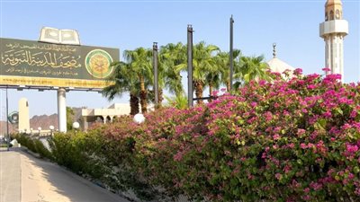 مجمع الملك فهد لطباعة المصحف الشريف: فرص عمل متميزة للكوادر السعودية