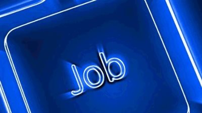 دعم قطاعي الصحة والتعليم عبر سد العجز في الكوادر البشرية.. أهمية بوابة الوظائف الحكومية في دعم الشباب