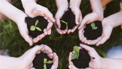 القيم وأهميتها في بناء الإنسان والمجتمع