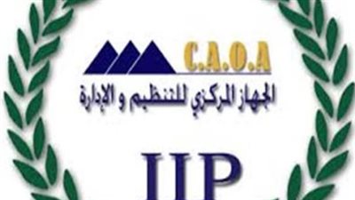 التحول الرقمي وخدمات الاستعلام في الجهاز المركزي للتنظيم والإدارة