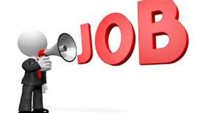 الوظائف الحكومية في مصر 2025: فرص العمل وشروط التقديم