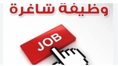 القطاعات الأكثر طلبًا في التوظيف الحكومي هذا العام