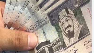 سعر صرف العملات الأجنبية في مصر اليوم.. الريال السعودي بكام؟