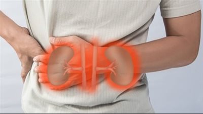 أسباب الفشل الكلوي.. 8 عوامل انتبه لها جيدا