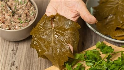 فوائد أكل ورق العنب لصحة الجسم