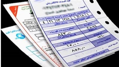 الاستعلام عن فاتورة الكهرباء: دليل شامل للمواطنين في مصر