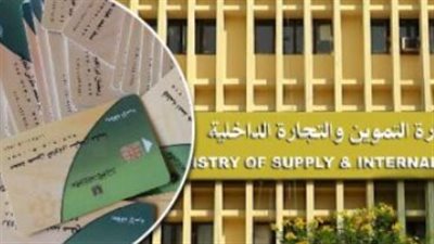 الخدمات الرقمية على بوابة دعم مصر الإلكترونية