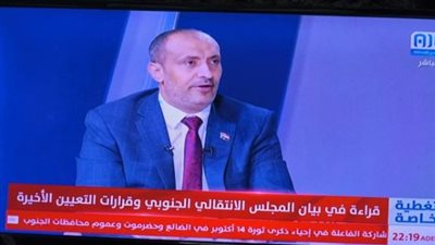 أنيس الشرفي: قوى فاسدة تستغل الشراكة للنيل من الجنوب